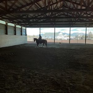 Meet your Posher, Summer